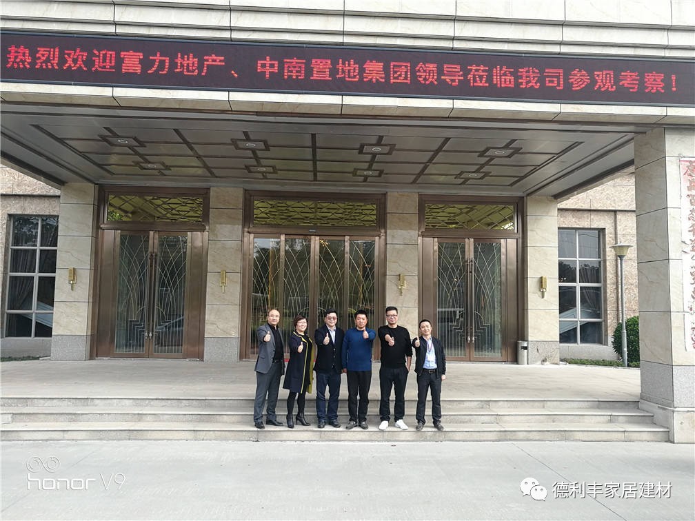 【重磅】百強房企：富力地產、中南置地一行領(圖2)