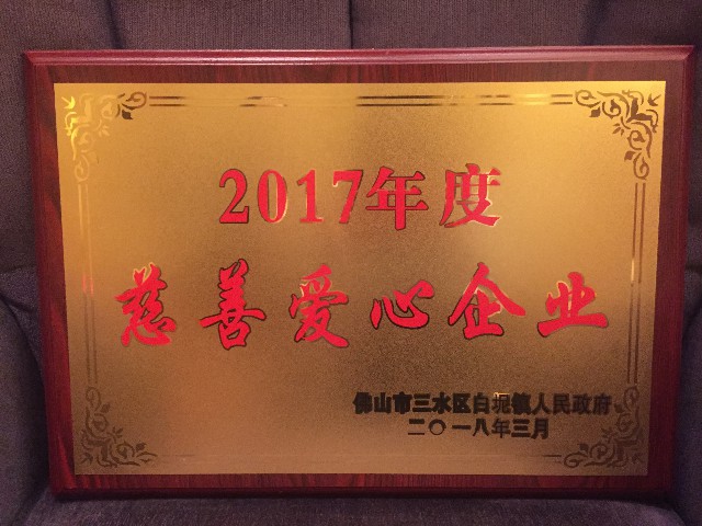 實(shí)力認(rèn)證：金牌企業(yè)一天摘得5項(xiàng)政府級的榮譽(yù)！(圖11)