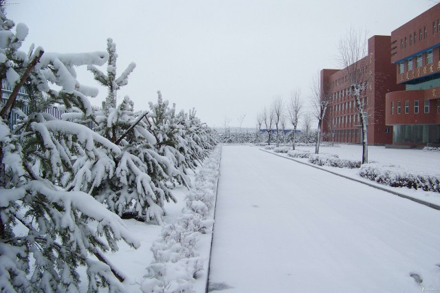 大雪入冬,這邊卻刮起了“火熱風暴”(圖3) 大雪入冬,這邊卻刮起了“火熱風暴”(圖3)