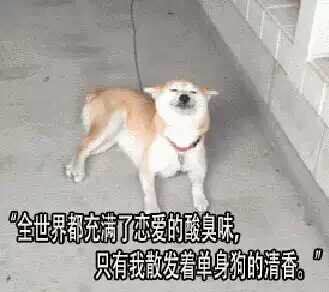 官宣！聽(tīng)說(shuō)德利豐大巖板戀愛(ài)了？(圖3)